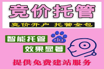 百度竞价账户托管服务深度解读及成功案例分析
